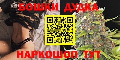 индика Беслан