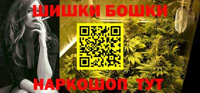 индика Беслан