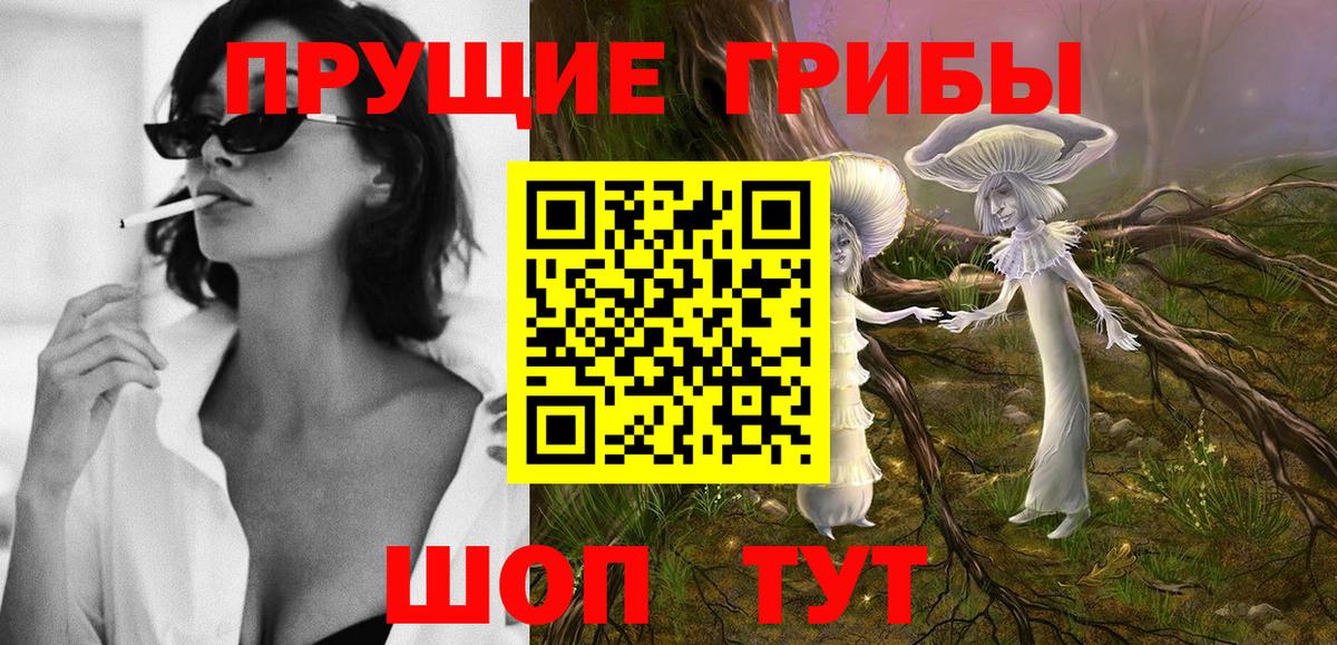 Галлюциногенные грибы Cubensis Кашира