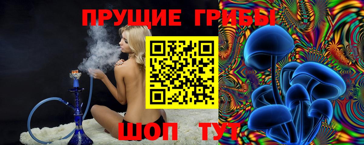 Кашира  Псилоцибиновые грибы MAGIC MUSHROOMS  Галлюциногенные грибы Cubensis  Вход с VPN 